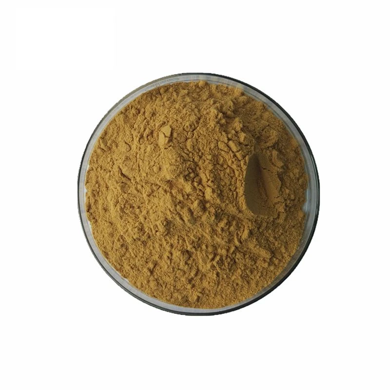 Wild Lettuce Extract Powder 1 Wild Lettuce Extract Powder 1