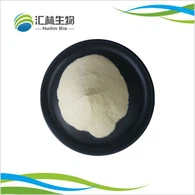 Xanthangummi pulver